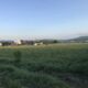 Bistrița- Vând teren parcelat sat Orhei, la 9 km de podul jelnei 1 300 €